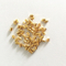 //rjrorwxhoilrmo5p.ldycdn.com/cloud/qkBpiKrpRmiSmrjlpplnk/Gold-metal-Au-Slug-60-60.jpg